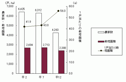 グラフ果樹栽培農家数及び栽培面積