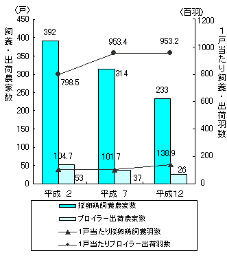 グラフ採卵及びブロイラー飼養（出荷）農家数及び1戸当たり飼養（出荷）羽数