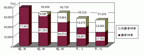 グラフ保有山林面積の推移