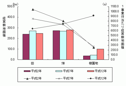 グラフ経営耕地面積と1事業体当たり経営耕地面積の推移