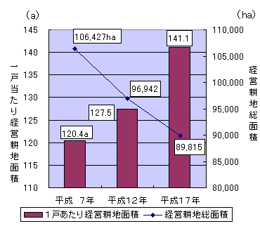 グラフ販売農家経営耕地総面積及び1戸当たり経営耕地面積