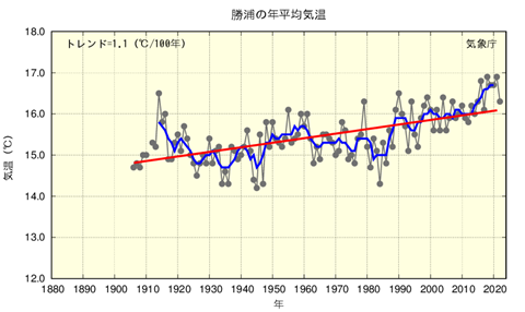 年平均気温の経年変化（勝浦）