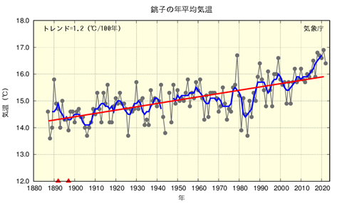 年平均気温の経年変化（銚子）