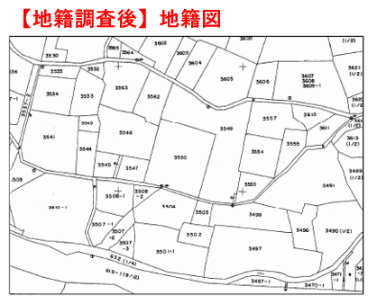地籍調査後の地籍図の画像