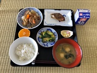 給食
