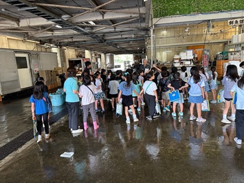魚市場見学の様子