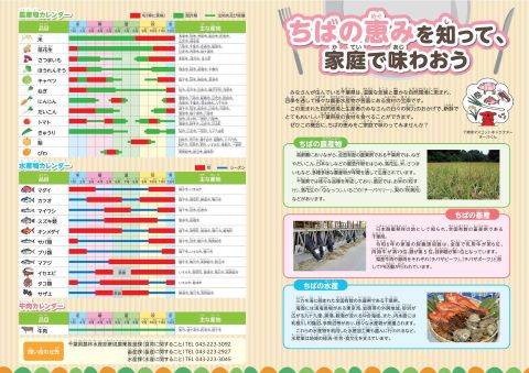 ちばの恵みを知って、家庭で味わおうというパンフレットのプレビュー画像