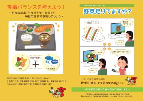 青年期:「野菜足りてますか?」というパンフレットのプレビュー画像
