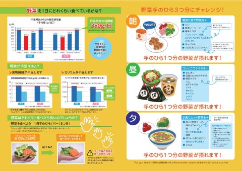 青年期:「野菜足りてますか?」というパンフレットのプレビュー画像