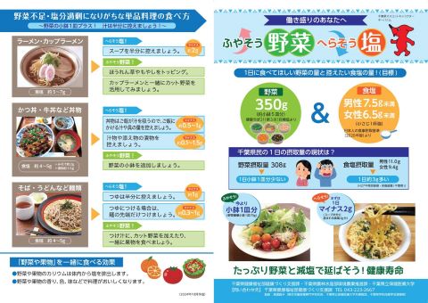 「ふやそう野菜へらそう塩」というパンフレットのプレビュー画像