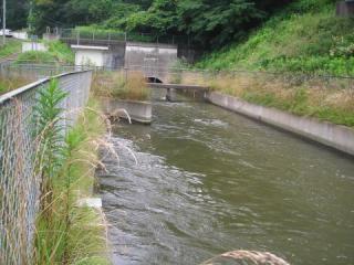 北部幹線終点から栗山川へ注水