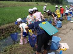 生き物調査（目吹）