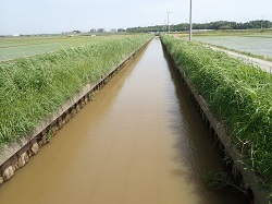 青山排水機場