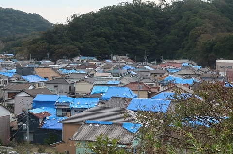 鋸南町のブルーシートを展張した家屋の画像