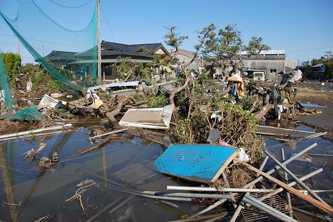 旭市の津波で流された松と溜まった海水