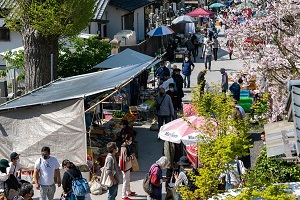 勝浦朝市