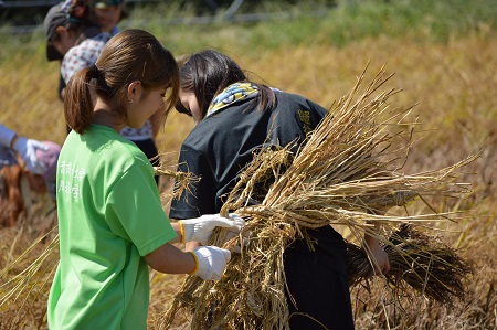 千葉県誕生150周年記念ロゴマーク