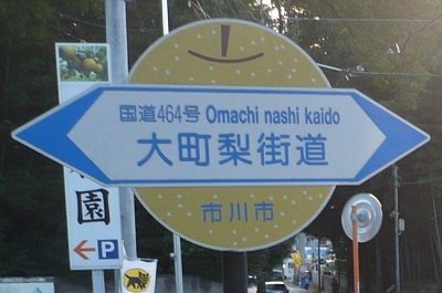 大町梨街道