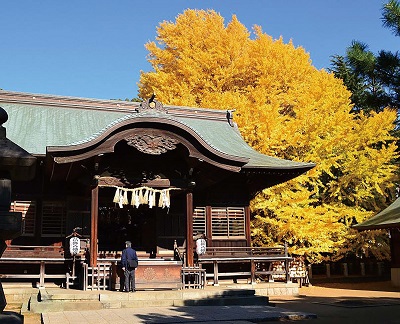 葛飾八幡宮と八幡の藪知らず