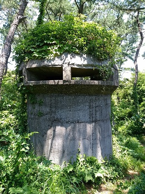 富津公園ヘリテージング