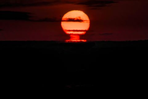 取材日のだるま朝日