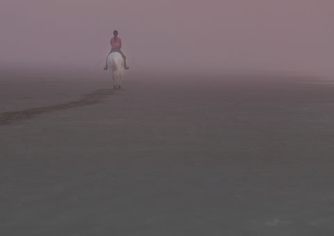 砂浜で馬に乗る人