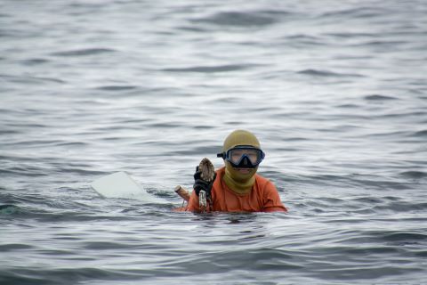 漁をする平野さんの写真