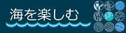 海を楽しむ