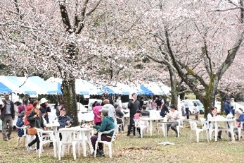 栄町さくらまつり