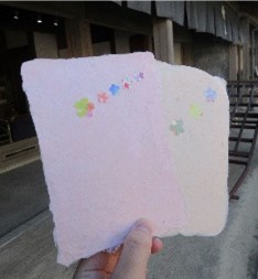 桜色のはがき