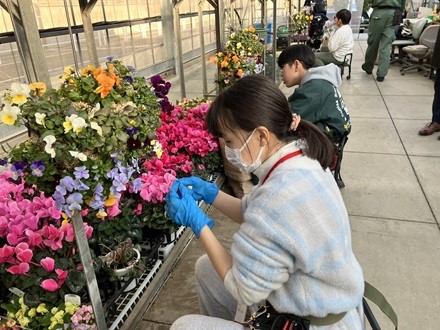 植栽管理業務の様子