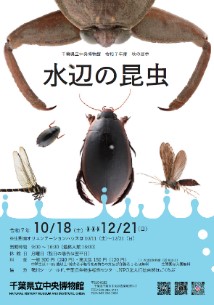 秋の展示のポスター画像
