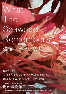 海のアート展のポスター画像