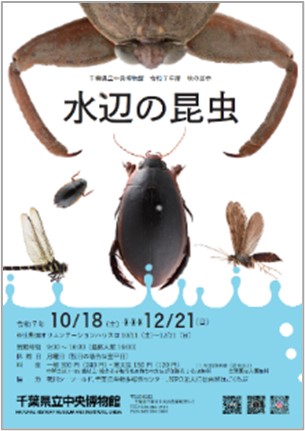 秋の展示「水辺の昆虫」のポスター
