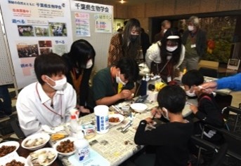 どんぐりなどを使った工作の画像
