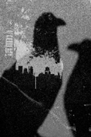 ダヴィット・ファン・デル・レーウ&サラ・ファン・ライ「2羽の鳩、ニューヨーク」の画像