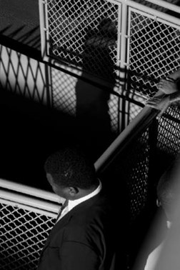 ダヴィット・ファン・デル・レーウ「無題」の画像