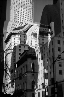 サラ・ファン・ライ「無題」の画像