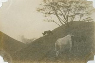 徳川昭武「牧馬(2)」の画像