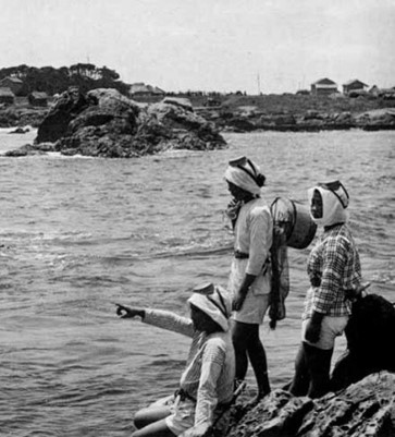 野島崎海女の出漁（房州白浜）の画像