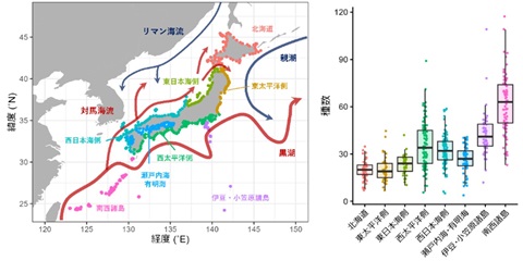 調査が行われた地点と各調査地で検出された種数の図