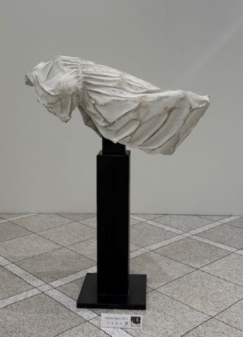宮坂慎司　作品写真