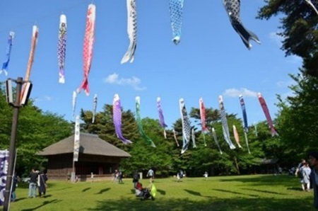 おまつり広場の鯉のぼり