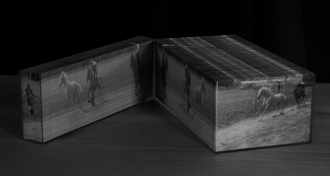 尾形翔悦氏　作品写真