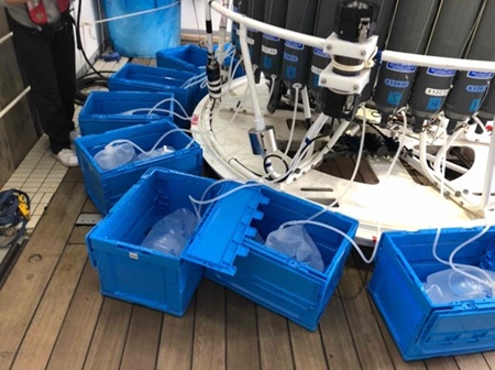 CTDに搭載されたニスキン採水器から海水を一時保存用のバッグに移す様子