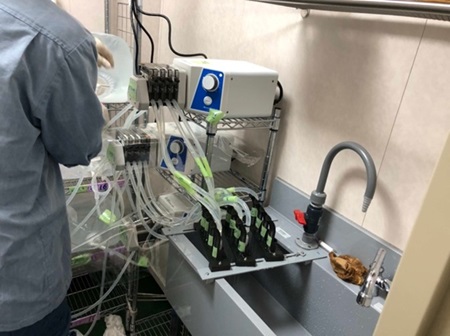 深層水を濾過するポンプ機器