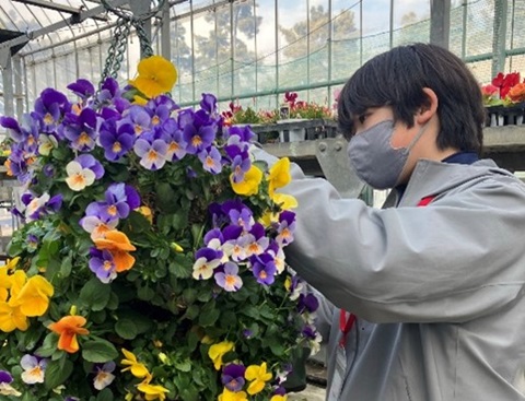 植栽管理業務の体験の写真