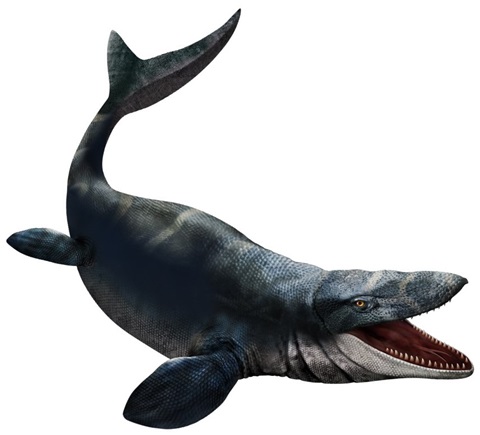 モササウルスの復元イラスト画像