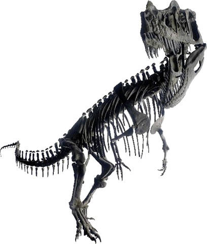 ケラトサウルスの画像