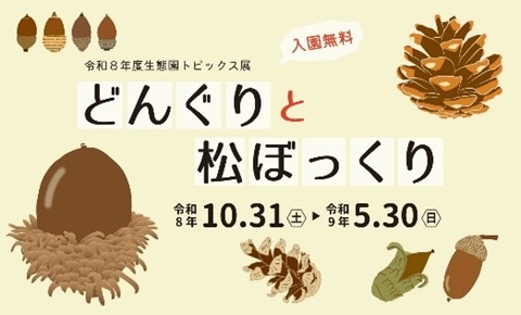 生態園トピックス展「どんぐりと松ぼっくり」のイメージ